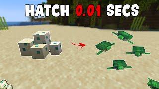 How to HATCH Turtle Eggs FASTER in Minecraft PEJavaBedrock