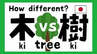 【kanji】How different 木ki and 樹ki?