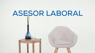 ¿Qué es un asesor laboral? ¿Cuáles son sus funciones? I asesorias.com