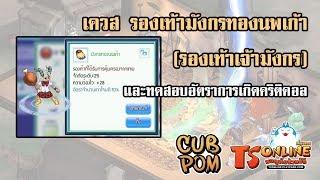 เควส รองเท้ามังกรทองนพเก้า รองเท้าเจ้ามังกร และทดสอบอัตราการเกิดคริติคอล TS Online Mobile