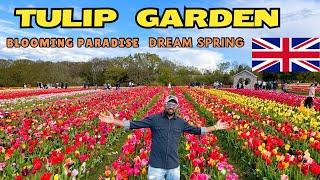 Tulip Fest in London UK  Tulip Garden  Its a Blooming Paradise Dream Spring 