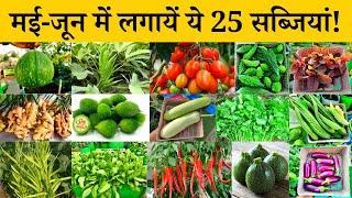 मई जून में कौनसी सब्जी लगाये  May June Me Konsi Sabji Lagaye  Which vegetable to plant in May June