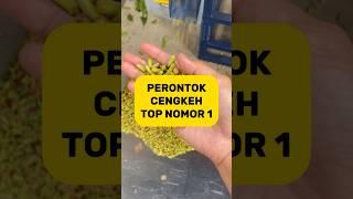 MESIN PERONTOK CENGKEH  Merontokkan Cengkeh Dengan Cepat dan Mudah #shorts #mesinperontok #cengkeh