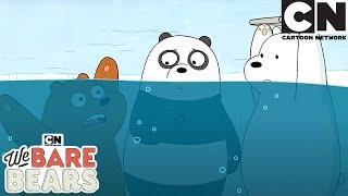 Chaotic Compilation  We Bare Bears Season 2  Cartoon Network  Cartoons for Kids