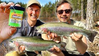 CRAZY RAINBOW TROUT FISHING with Powerbait in Hökensås