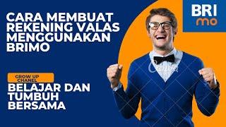 Cara Tutorial Membuat Rekening Valas Melalui BRiMo