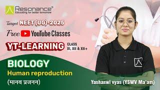 Human Reproduction  NEET 2025 Hindi Medium  Dt. 03-08-2024  Class 12  NEET Zoology