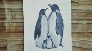 A cute penguin family drawing  How to draw penguins Easy  Penguen ailesi çizimi Kolay çizim