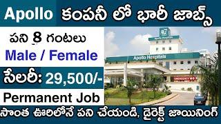 Apollo Hospitals లో జాబ్స్  Apollo job vacancy 2023  Private hospital job vacancy 2023