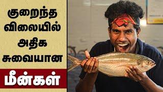 Healthy fish குறைந்த விலையில் சுவையான மீன்களை வாங்குவது எப்படி? Fish buying in Tamil