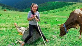 Yayla Macerası - Sümeyyenin Dünyası  Belgesel ▫️4K▫️