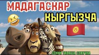 МАДАГАСКАР КЫРГЫЗЧА ХАХА ПРИКОЛ ВИДЕО 