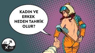 KADIN ve ERKEK NASIL TAHRİK OLUR?