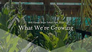 What Were Growing  RHS Flower Show Tatton Park 2023