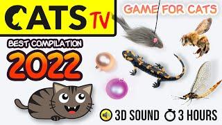 GAME FOR CATS - BEST 2023 Cats TV compilation 🪩 60fps 3 HOURS