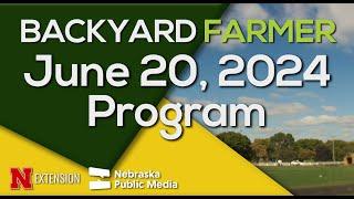 Backyard Farmer June 20 2024