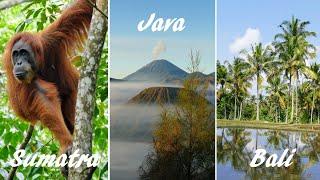 Sumatra - Java - Bali Drei Inseln mit viel Wildlife  Vulkanen und Kultur