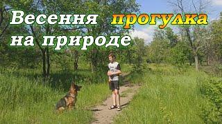 Весенняя прогулка на природе с немецкой овчаркой Ремой  Прогулка с собакой  Дрессировка собак