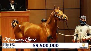 Monomoy Girl sells for $9500000 at The November Sale 2020