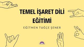 Temel İşaret Dili Eğitimi 1.Ders Alfabe - Tuğçe ŞENER