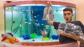 BUYING ALL EXOTIC Fish In The AQUARIUM **Awesome**