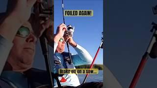 Broke Off On a Sow… Foiled Again #fishing #bassfishing #largemouthbass