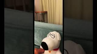 Family Guy - Do you see the wire yet over - in plush