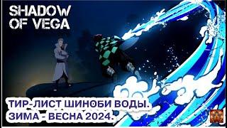 ТИР ЛИСТ ВОДЫ. ФЕВРАЛЬ 2024  Тени Пика  Конфликт хидзюцу