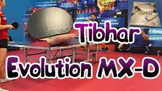 Tibhar Evolution MX-D vs Tibhar Evolution MX-P50 Обзор накладки новинки для настольного тенниса