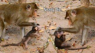 Nasty Mum Anna Attack Anissa With Suffer  Evil Mother Monkey Anna Discipline Poor Baby Anissa