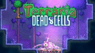 Terraria x Dead Cells