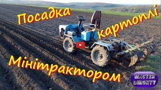 Potato plantation with minitractor with plows