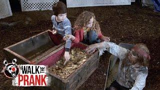 Buried Treasure  Walk the Prank  Disney XD