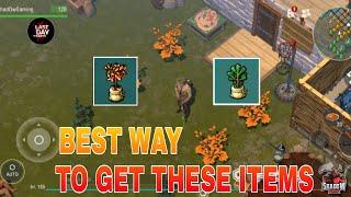 The Best Way To Get Oak and Pine Tree Seedlings Ldoe -- Last day on Earth  Season 16