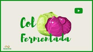 Col fermentada