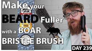 6 Reasons WHY a BOAR BRISTLE BRUSH will INSTANTLY improve your Beard  Liberty Grooming Co.