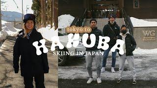 getting to hakuba valley and iwatake ski day  japan travel vlog