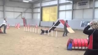 G1-3 Agility Wilmslow