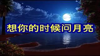 想你的时候问月亮    二小姐      +   lyrics     我想你的时候我只能问月亮