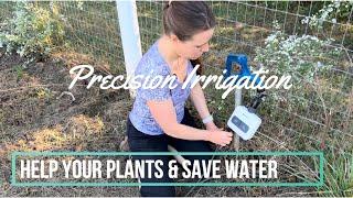 Precisely Water the Garden Using RainPoint HELP YOUR PLANTS AND SAVE WATER