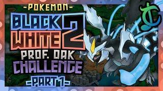 How QUICKLY Can You Complete Professor Oaks Challenge in Pokemon Black 2White 2  - 12