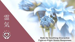 Reiki for Soothing Overactive Fight or Flight Stress Responses  Energy Healing