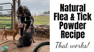 DIY Natural Flea Powder Recipe for Dogs and Cats with Diatomaceous Earth Herbal Blend