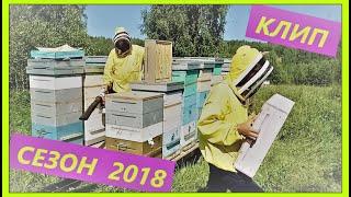 Сезон 2018. Кочевое пчеловодство Башкирии. Пасека Белозеровых.