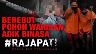 Berebut Pohon Warisan Adik Binasa  Rajapati Episode 371 antv