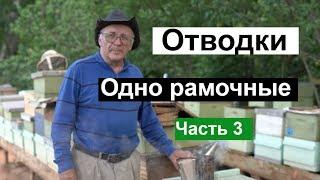 Пасека #121 Одно рамочные ОТВОДКИ  МаткиМаточникиМёд и Пчелы  Пчеловодство для начинающих