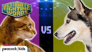 CAT VS. DOG - Which is the Better Pet?  ULTIMATE FIGHTING WORDS