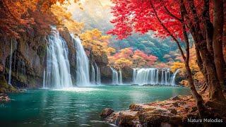 Relaxing piano music stop thinking Restore body mind with landscape Autumn