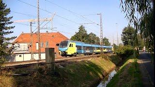 Westfalenbahn Stadler Flirt auf der Emsland-Strecke  Electric railcar Stadler Flirt