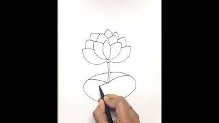 Lotus Flower Drawing  Very Easy Lotus Flower Drawing  Step by Step #drawing #shorts